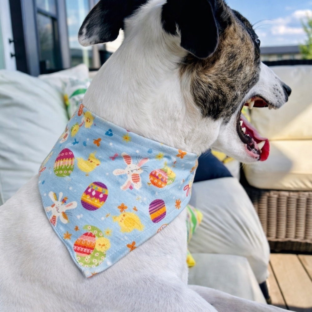 Easter Themed Dog Print Bandana